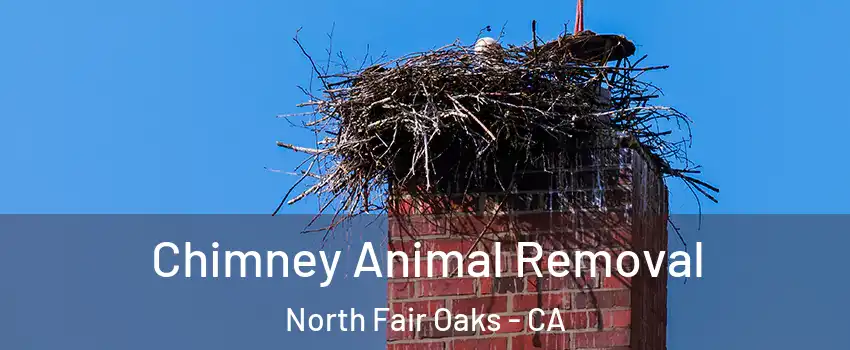  Chimney Animal Removal North Fair Oaks - CA