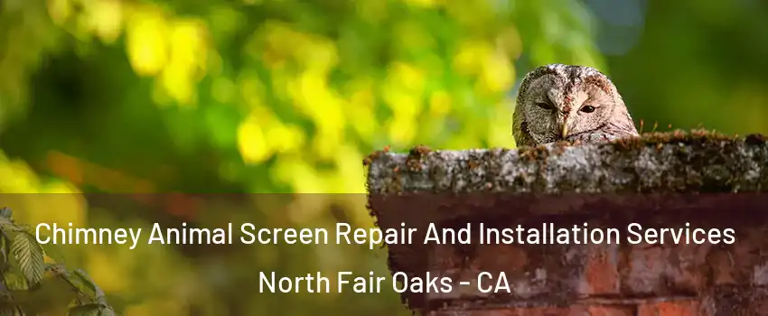  Chimney Animal Screen Repair And Installation Services North Fair Oaks - CA