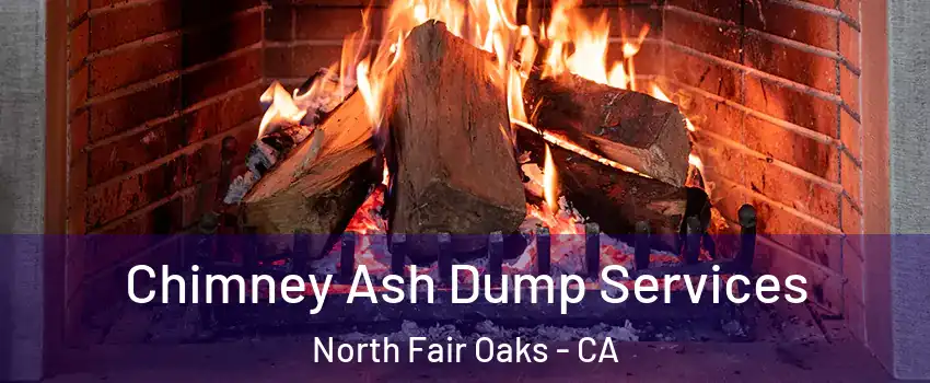 Chimney Ash Dump Services North Fair Oaks - CA
