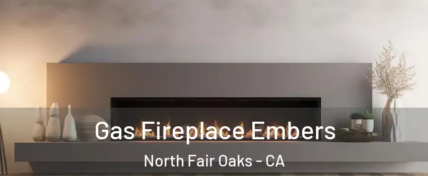  Gas Fireplace Embers North Fair Oaks - CA