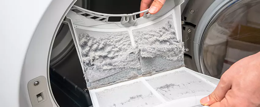 Best Dryer Lint Removal Company in North Fair Oaks, California