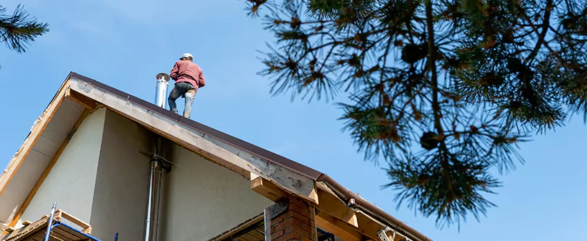 Birds Removal Contractors from Chimney in North Fair Oaks, CA