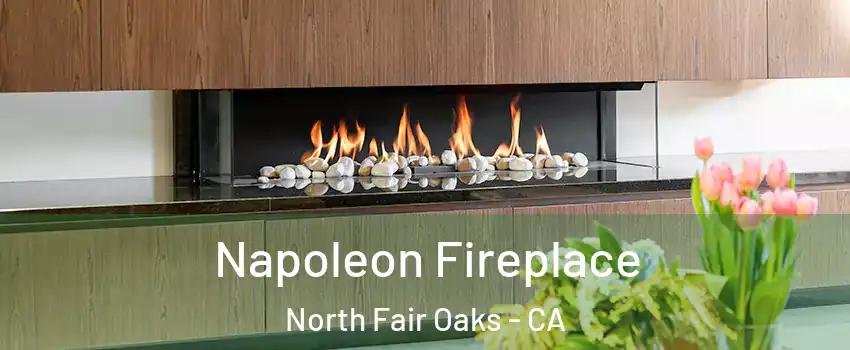  Napoleon Fireplace North Fair Oaks - CA