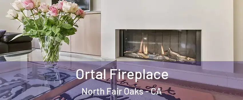  Ortal Fireplace North Fair Oaks - CA