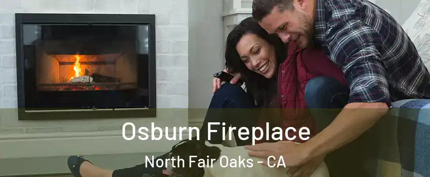  Osburn Fireplace North Fair Oaks - CA